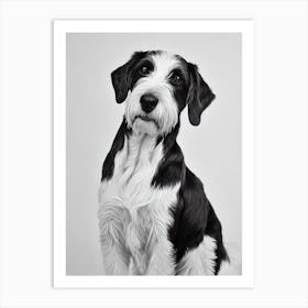 Pointer (German Wirehaired) B&W Pencil Dog Art Print