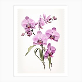 Orchids Flower Vintage Botanical 3 Art Print