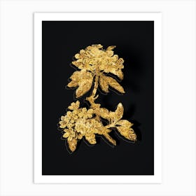Vintage Almond Leaved Pear Botanical in Gold on Black n.0248 Art Print