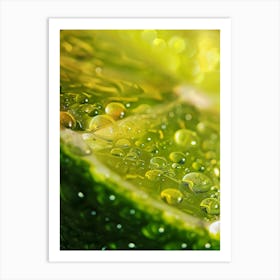 Water Droplets On Lime 1 Art Print