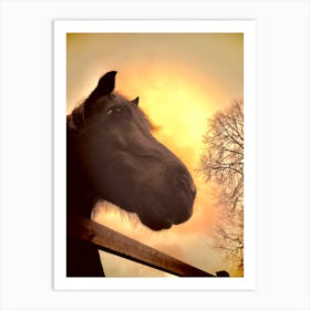 Sunset Horse 1 Art Print