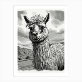 Llama Art Print