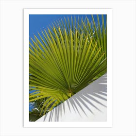 Green palm leaf and blue sky Art Print