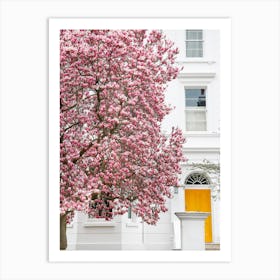 Magnolia In Bloom Art Print