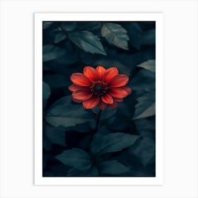 Dark Flower 3 Art Print