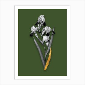 Vintage Elder Scented Iris Black and White Gold Leaf Floral Art on Olive Green n.0693 Art Print