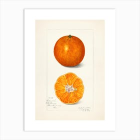 Oranges 2 Art Print