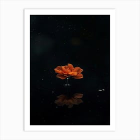 Flower In Water 7 Art Print