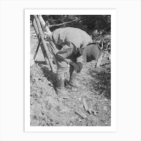 Untitled Photo, Possibly Related To William Besson With A Dip Needle, Near Winton, Minnesota By Russell Lee Art Print