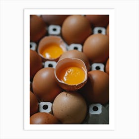 Eggs In A Carton 17 Art Print