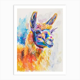 Llama Colourful Watercolour 1 Art Print