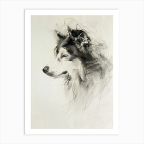 Malmute Dog Charcoal Line Art Print