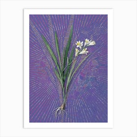 Vintage Gladiolus Xanthospilus Botanical Illustration on Veri Peri n.0688 Art Print