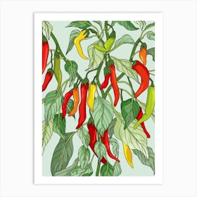 Chilli Plant Art Print