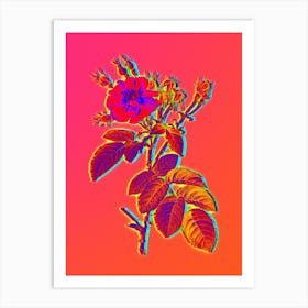Neon Harsh Downy Rose Botanical in Hot Pink and Electric Blue n.0360 Art Print