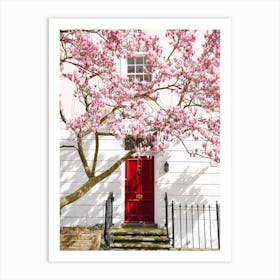 Magnolia In London Art Print