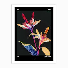 No Rain No Flowers Poster Celosia 1 Art Print