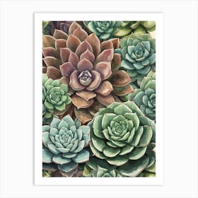 Succulents 2 Art Print