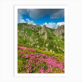 Pink Flowers In The Mountains 4 Art Print