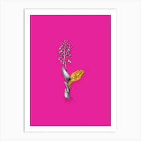Vintage Brown Widelip Orchid Black and White Gold Leaf Floral Art on Hot Pink n.0267 Art Print