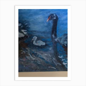 Black Swans And Cygnet Art Print