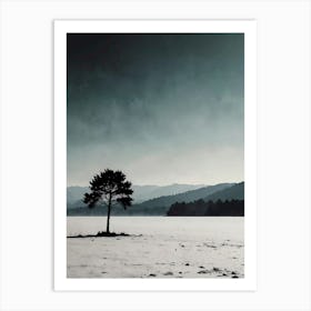 Lone Tree In The Snow Art Print