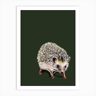 Kimchi The Hedgehog On Forest Green Art Print