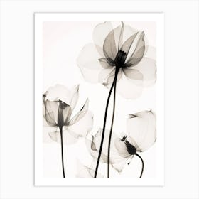 Black And White Flower Silhouette 6 Art Print