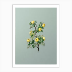 Vintage Tansy Leaved Hawthorn Flower Botanical Art on Mint Green Art Print