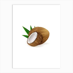 Tropical Coconuts 1 Art Print