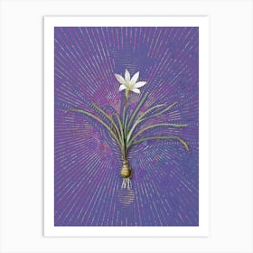 Vintage Rain Lily Botanical Illustration on Veri Peri n.0230 Art Print