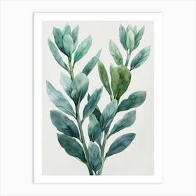 Eucalyptus 1 Art Print