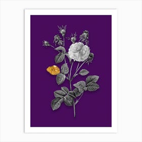 Vintage Pink Agatha Rose Black and White Gold Leaf Floral Art on Deep Violet n.0949 Art Print