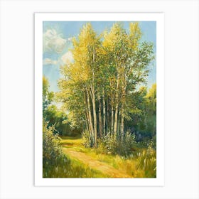 Birch Trees Art Print