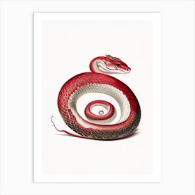 Scarlet Snake Vintage Art Print