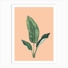 Banana Leaf 24 Art Print