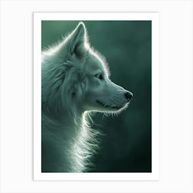 White Wolf Art Print