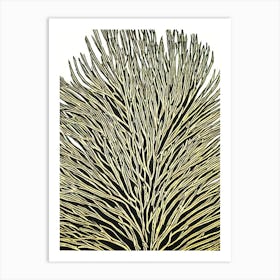 Acropora Horrida Ii Linocut Art Print