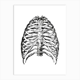 Human ribs Art Print