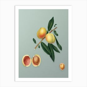 Vintage Peach Botanical Art on Mint Green n.0862 Art Print