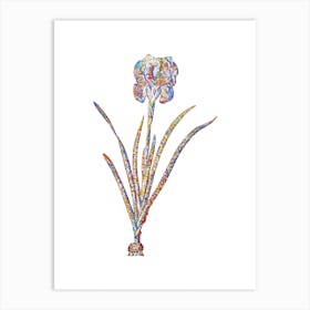 Stained Glass Mourning Iris Mosaic Botanical Illustration on White n.0315 Art Print