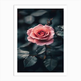 Pink Rose Wallpaper 3 Art Print