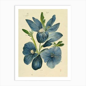 Blue Flowers Farmhouse Botanical Vintage Art Print