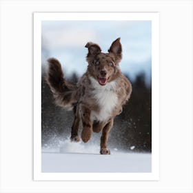 Dog Running In The Snow Art Print