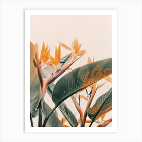 Bird Of Paradise 7 Art Print