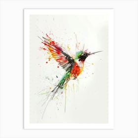 Hummingbird Canvas Print 4 Art Print