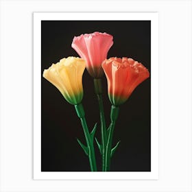 Bright Inflatable Flowers Carnations 4 Art Print