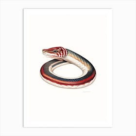 California Red Sided Garter Snake Vintage Art Print