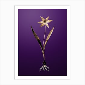 Gold Botanical Tulipa Celsiana on Royal Purple n.2360 Art Print