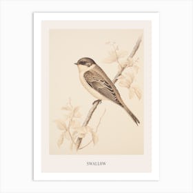 Vintage Bird Drawing Swallow 2 Poster Art Print